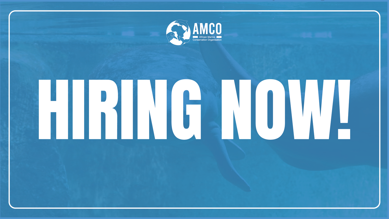We are Hiring: Fundraising Officer